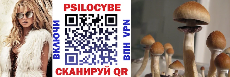 Галлюциногенные грибы Psilocybine cubensis  Высоцк 